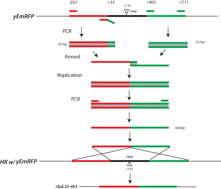 FIG 2 