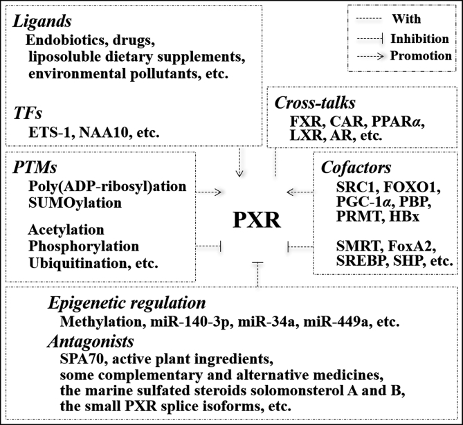 Figure 3