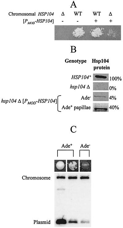 FIG. 5