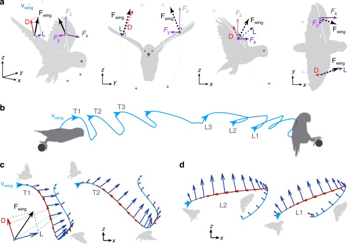 Fig. 2