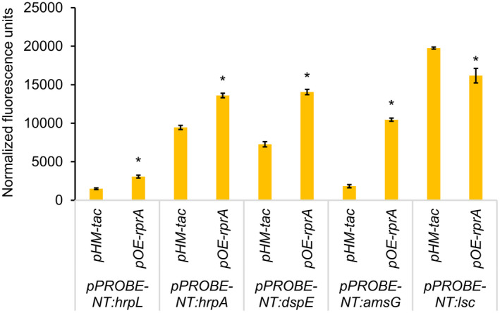 FIGURE 3