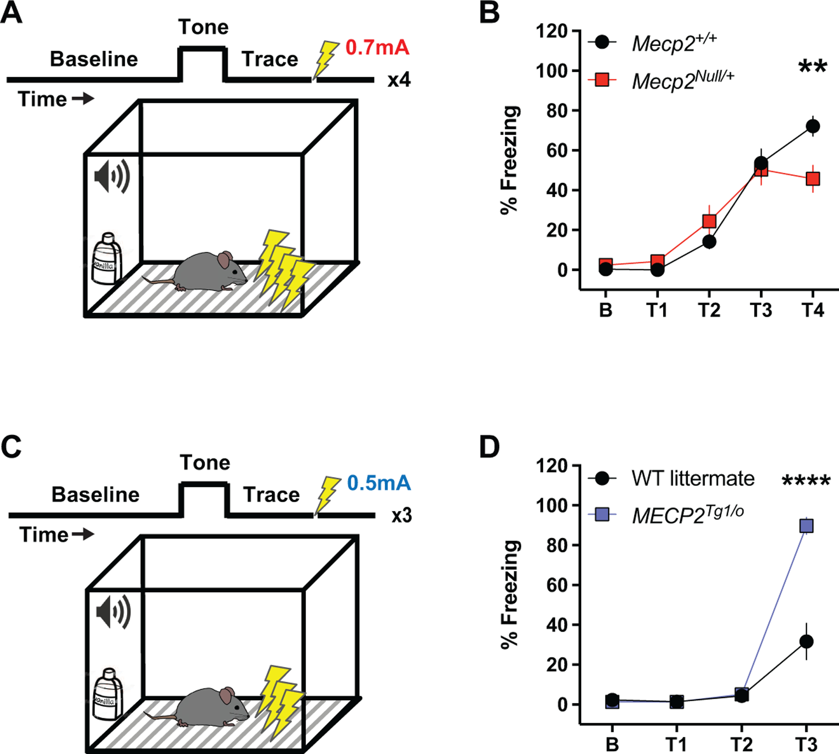 Figure 3: