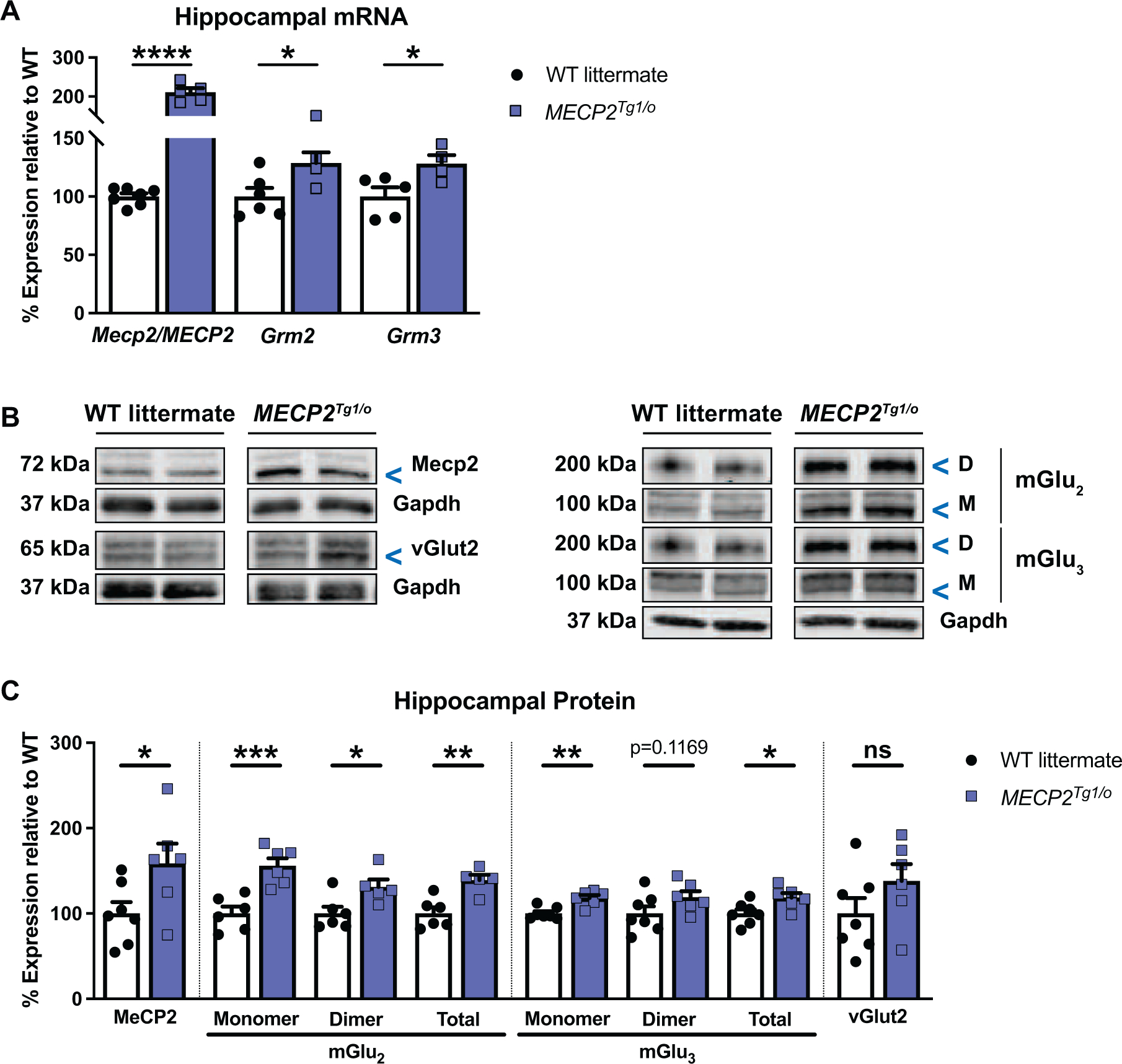 Figure 2: