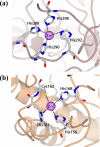 Fig. (9)