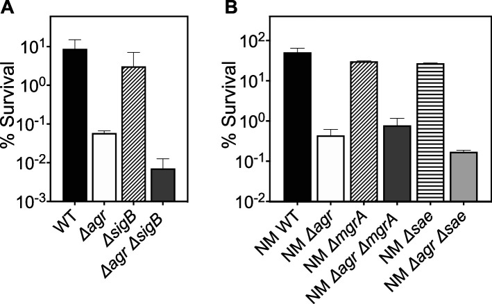 Figure 2—figure supplement 1.