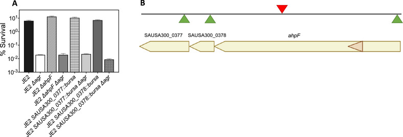 Figure 8—figure supplement 3.