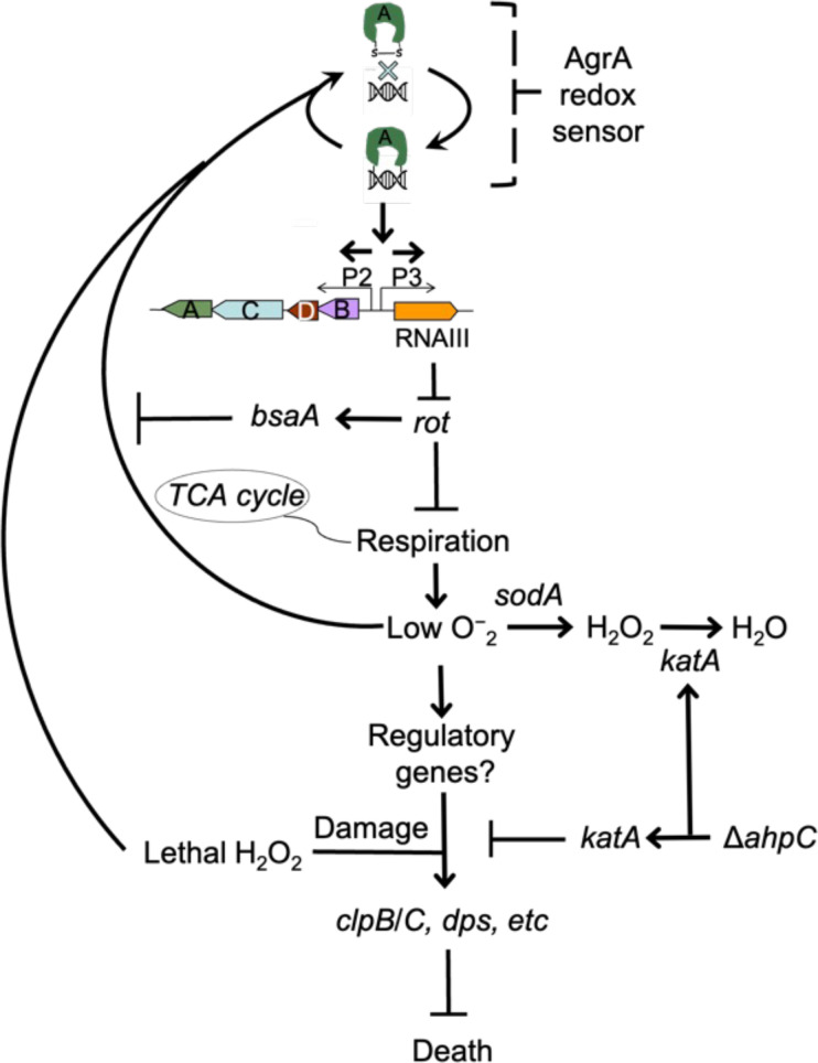 Figure 10.