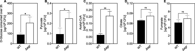 Figure 5—figure supplement 1.