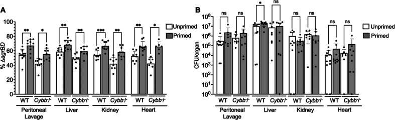 Figure 9—figure supplement 1.