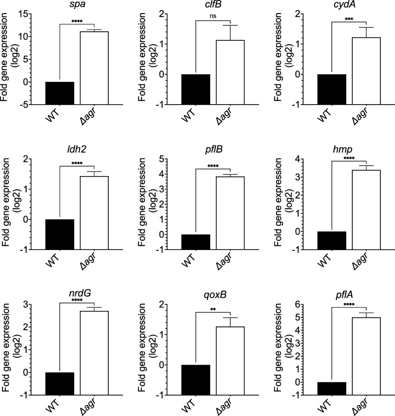 Figure 4—figure supplement 1.