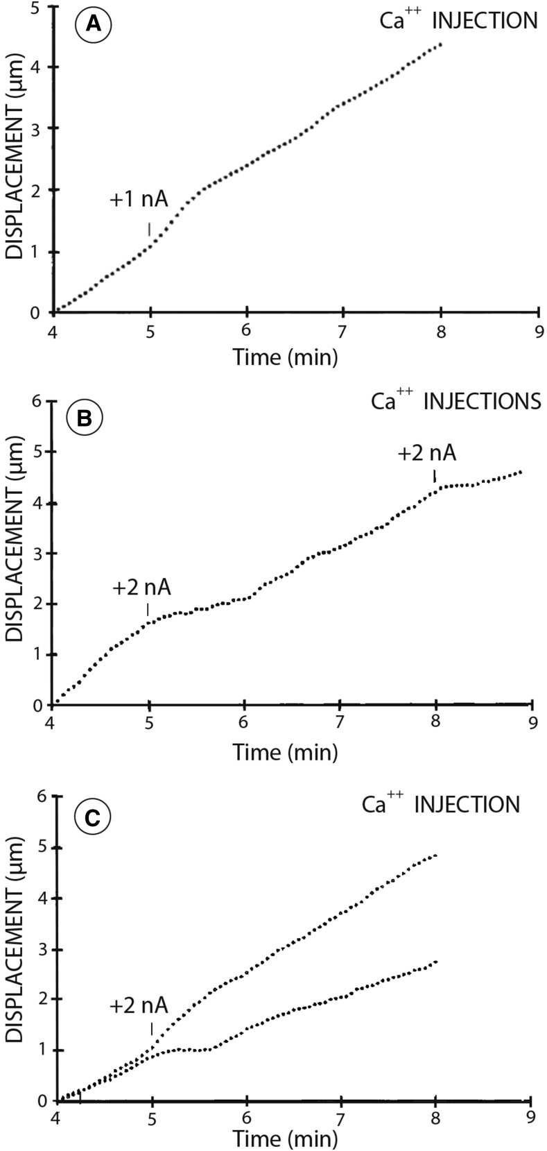 Figure 3.