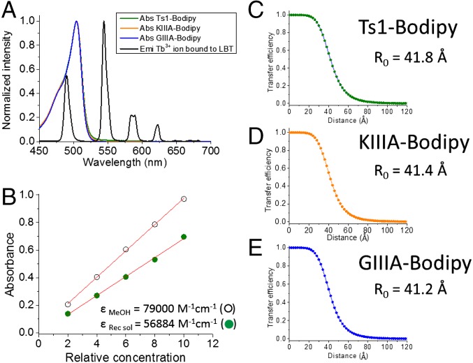 Fig. 4.