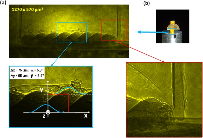 Figure 5