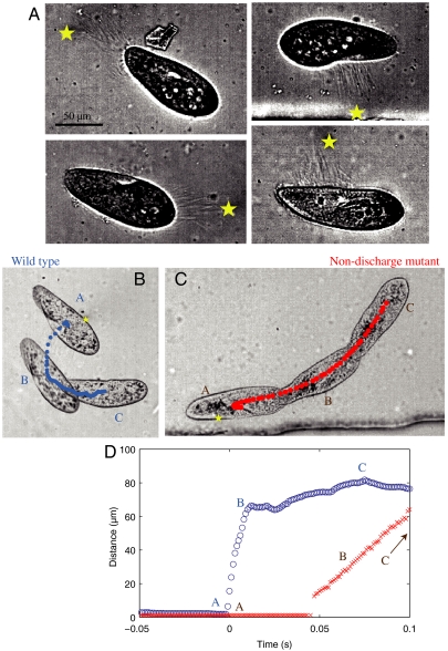 Fig. 2.