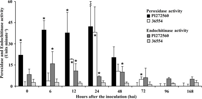 FIGURE 4