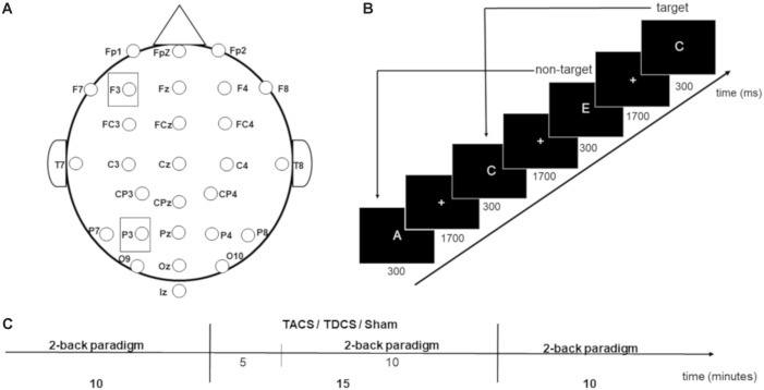 FIGURE 1