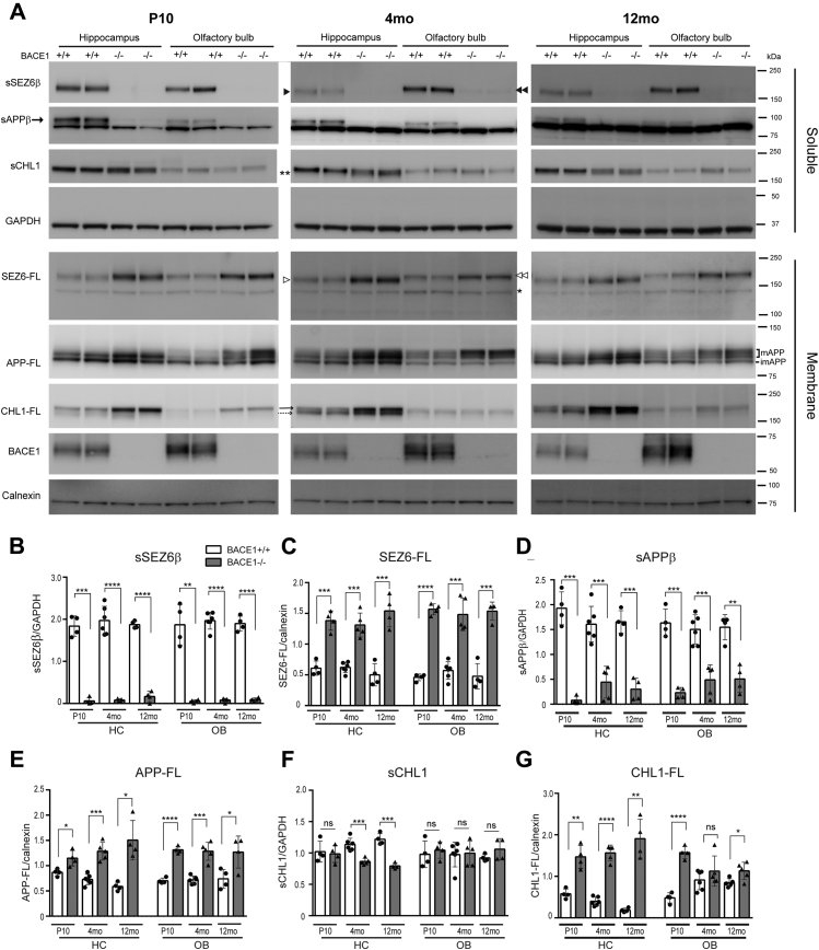 Figure 6