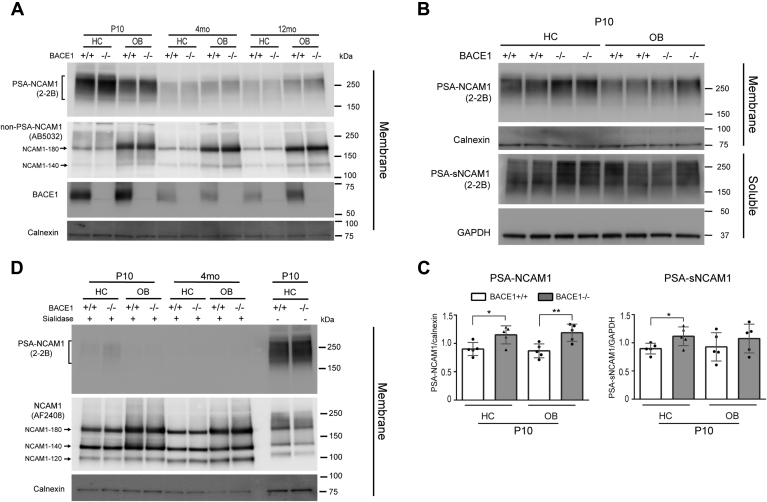 Figure 7