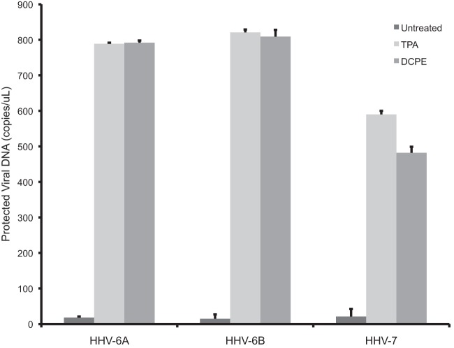 Fig 5