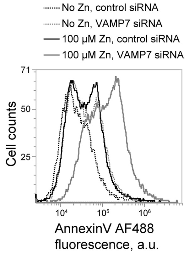 Fig. 8.