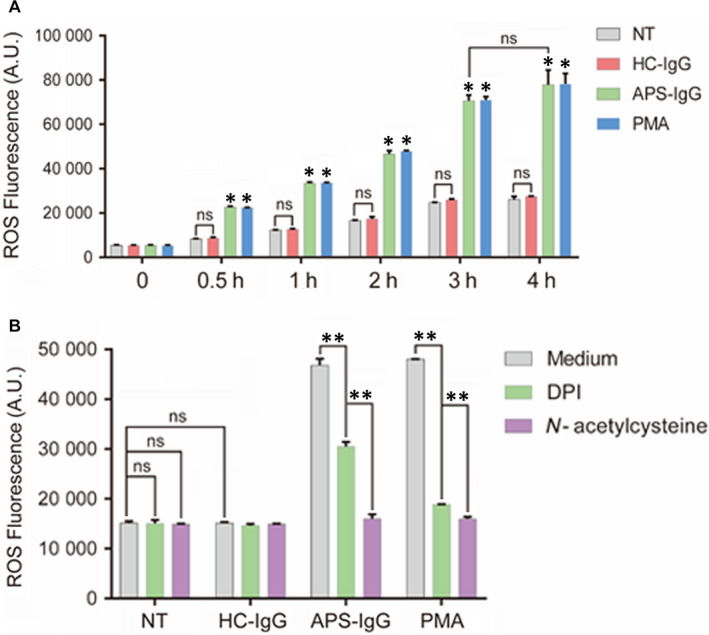 FIGURE 4