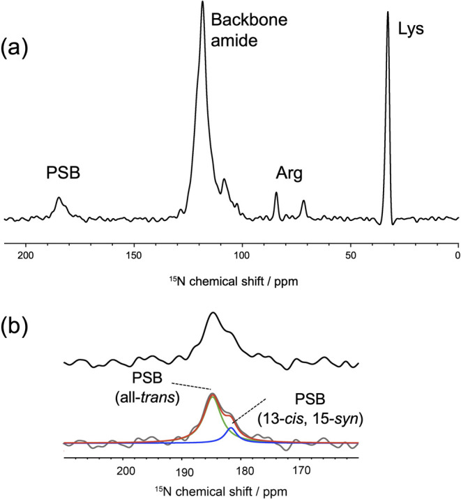 Figure 4 