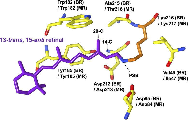 Figure 1 