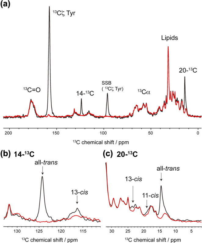 Figure 2 