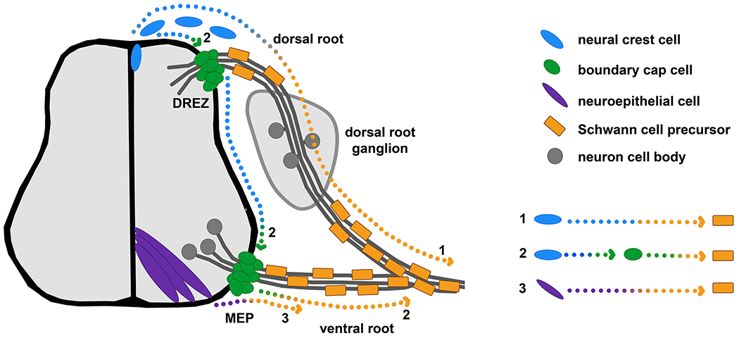 Figure 1: