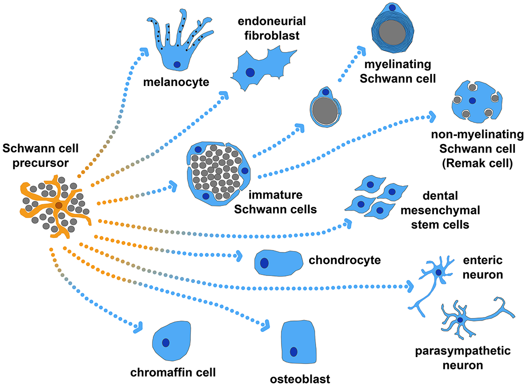 Figure 2: