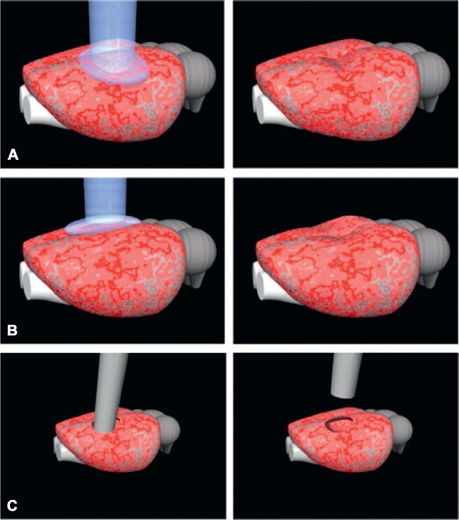 Fig. 8.2