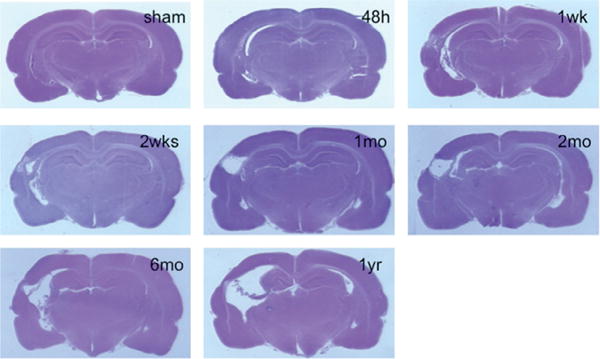 Fig. 8.4