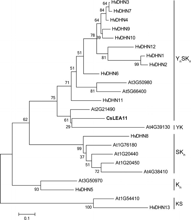 Fig. 3