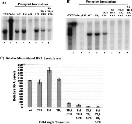 FIGURE 6.