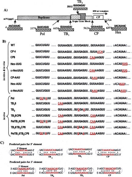 FIGURE 4.