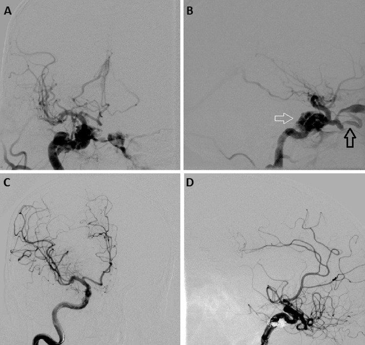 Fig. 2. –