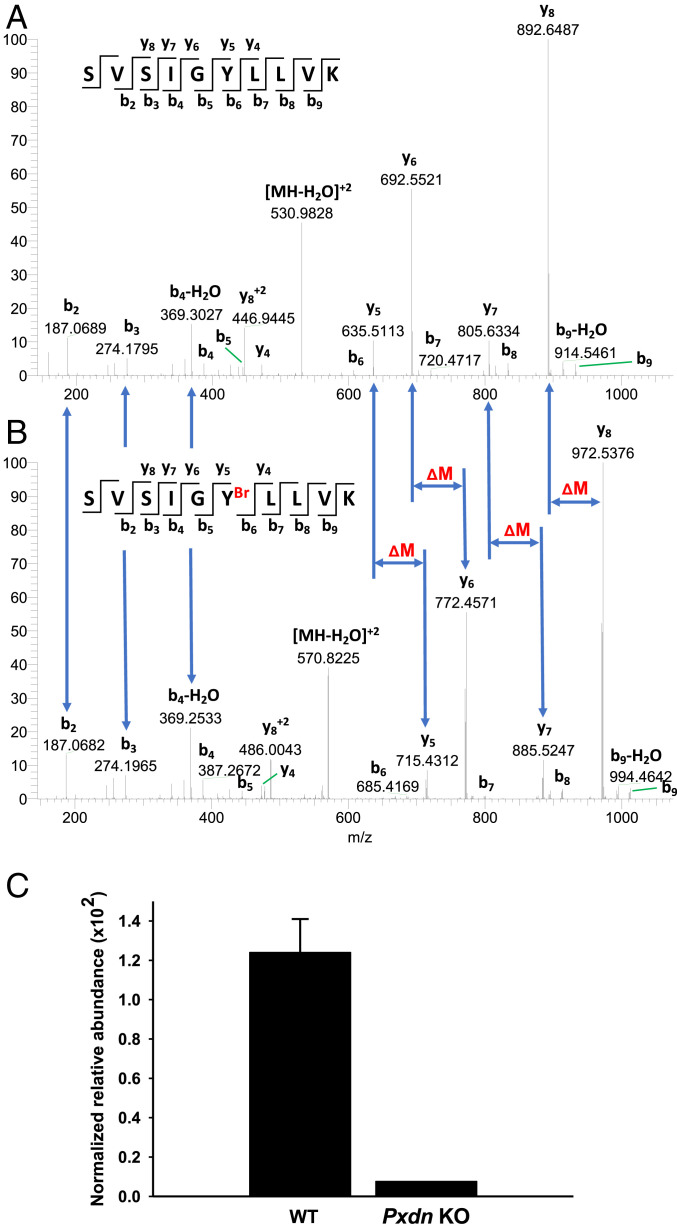 Fig. 8.