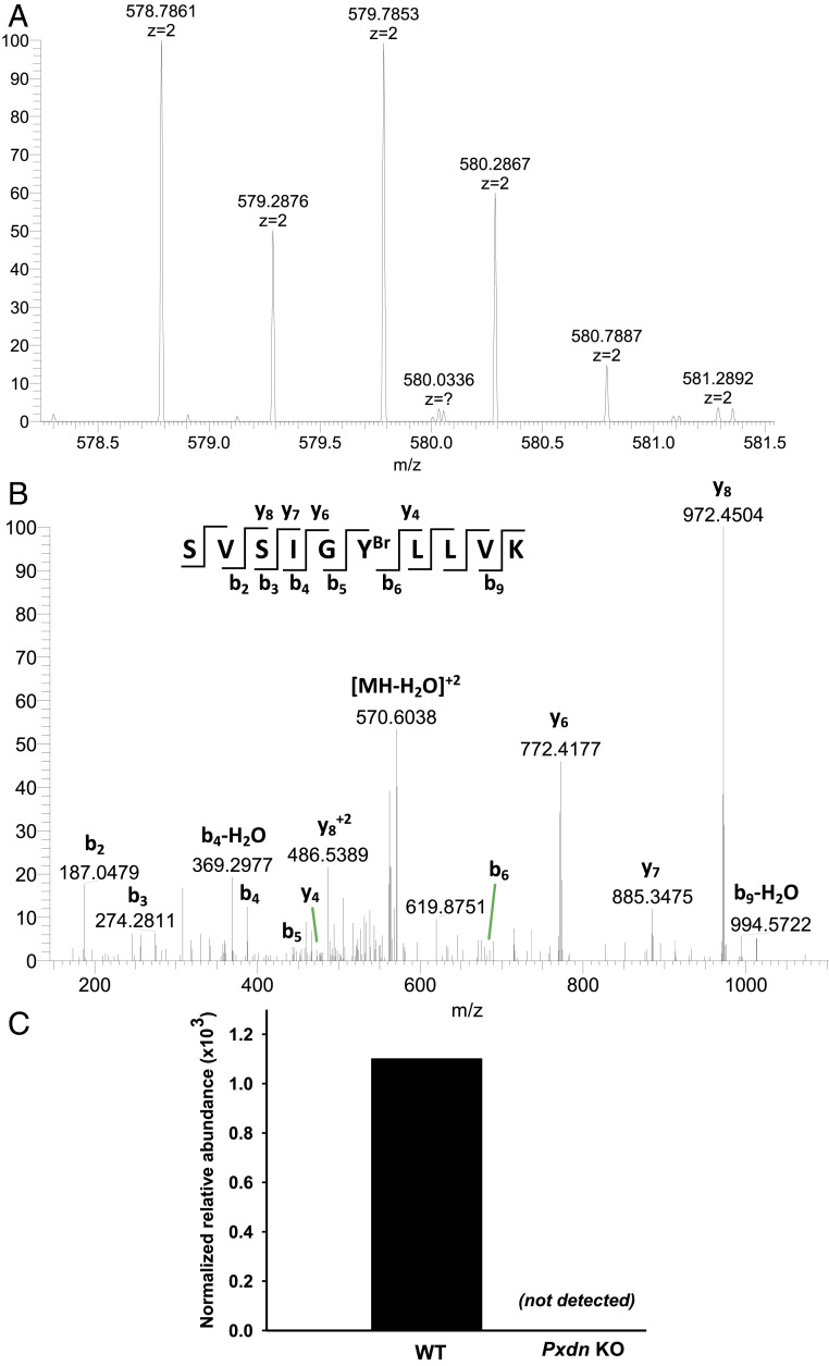 Fig. 9.