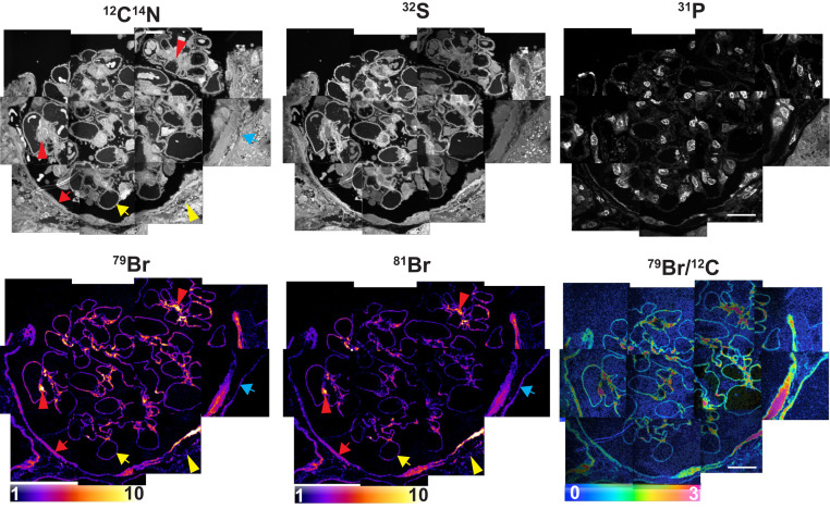 Fig. 4.