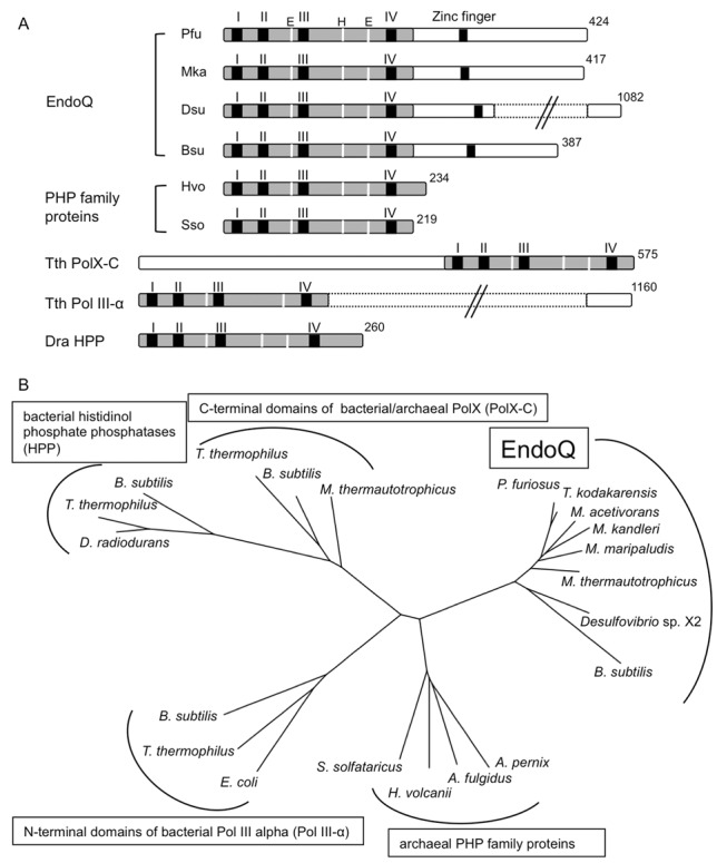 Figure 9.