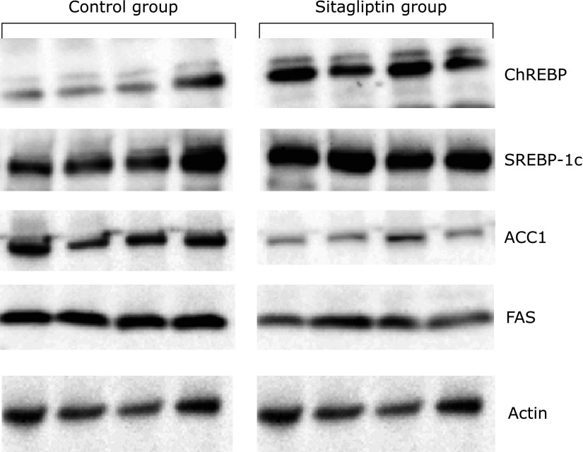 Fig. 9