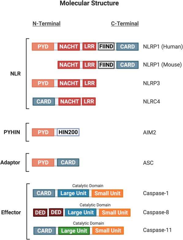 Fig. 3