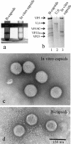 FIG. 6.