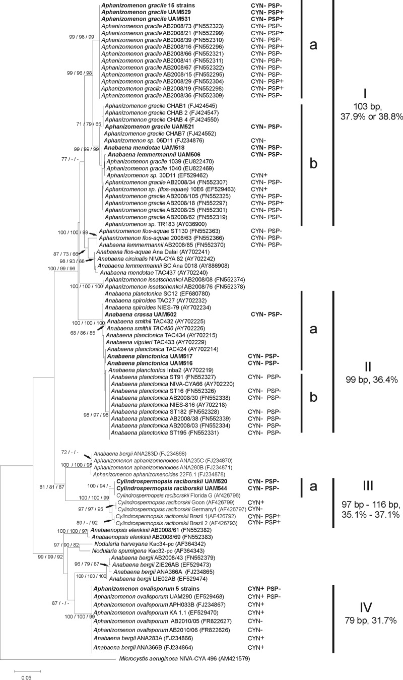 FIG 2