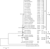 FIG 3