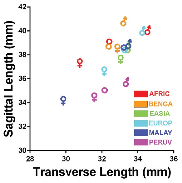 Figure 20