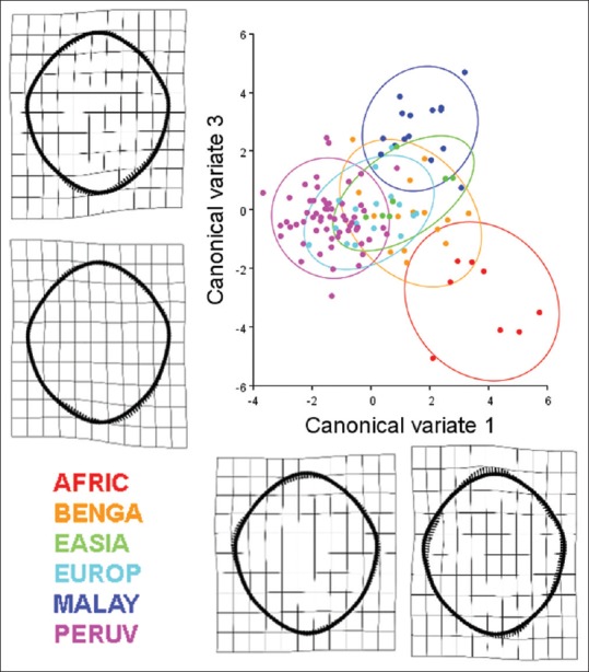 Figure 14