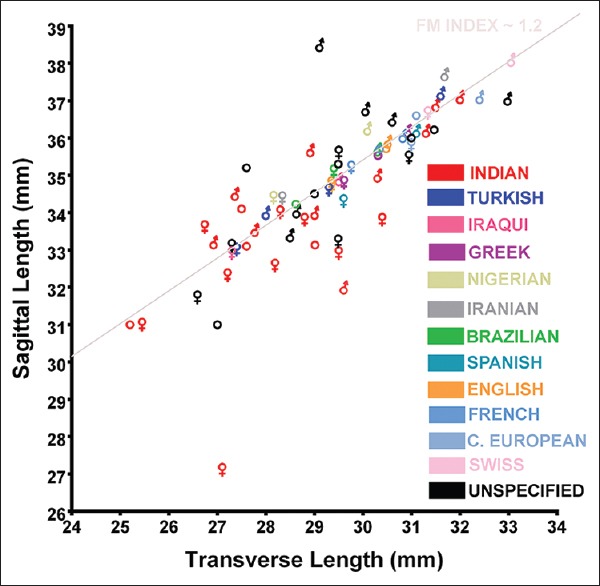 Figure 19