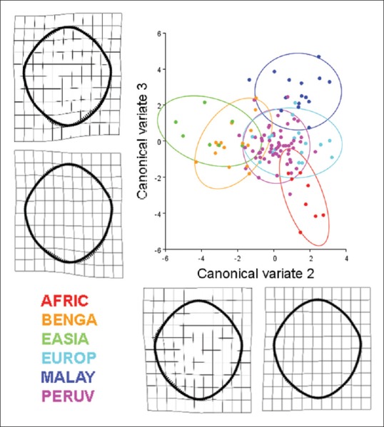 Figure 13