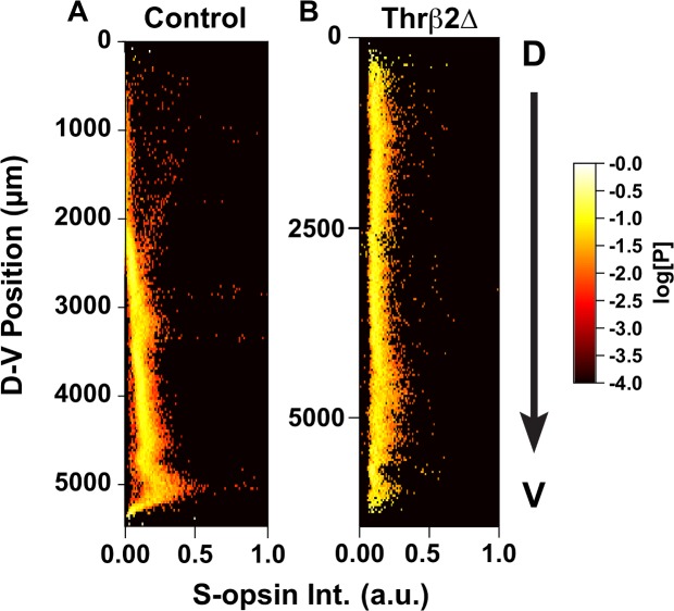 Fig 10